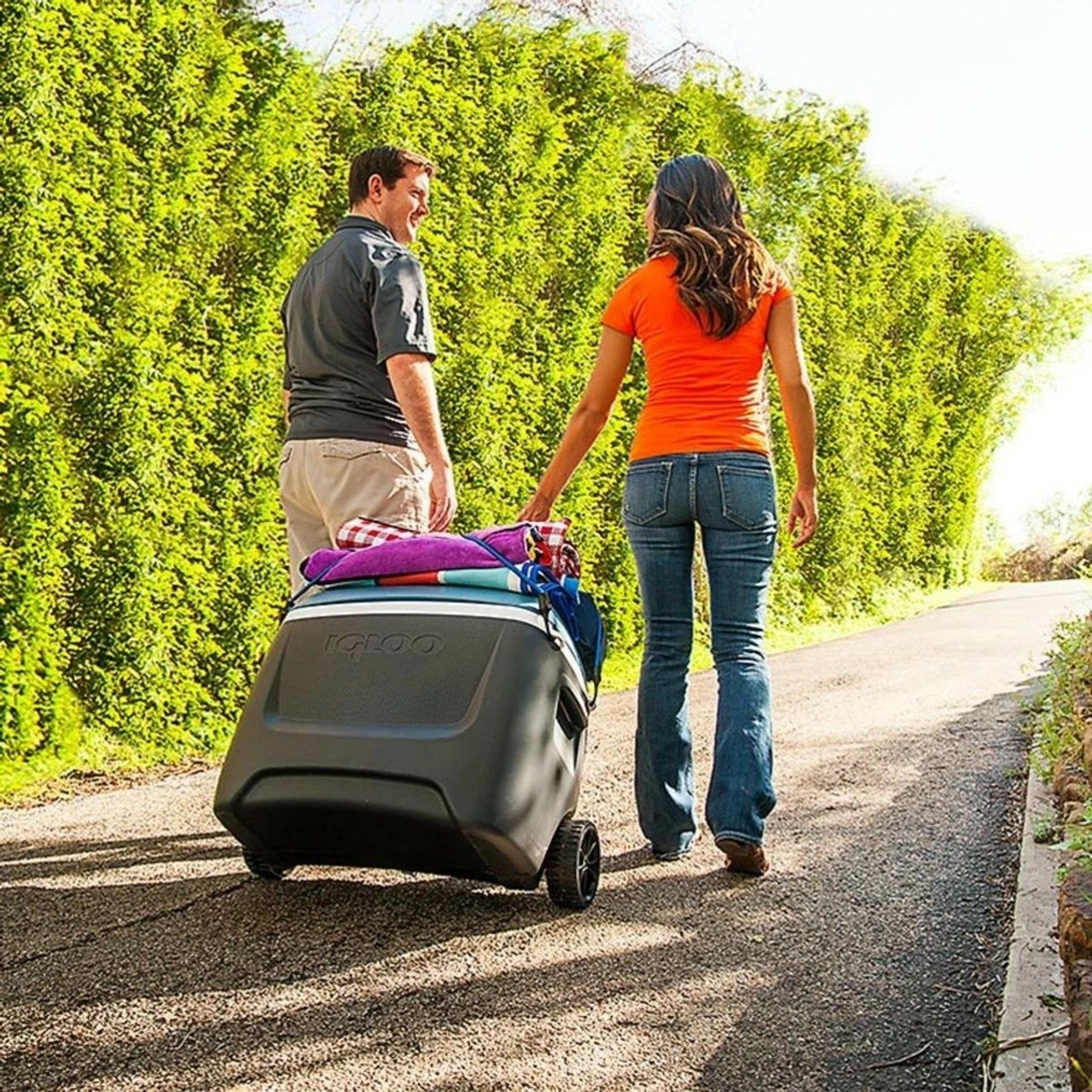 Igloo Island Breeze MaxCold 50 Wheeled Portable Ice Chest - Image 2