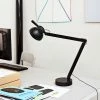 Hay PC Task Lamp