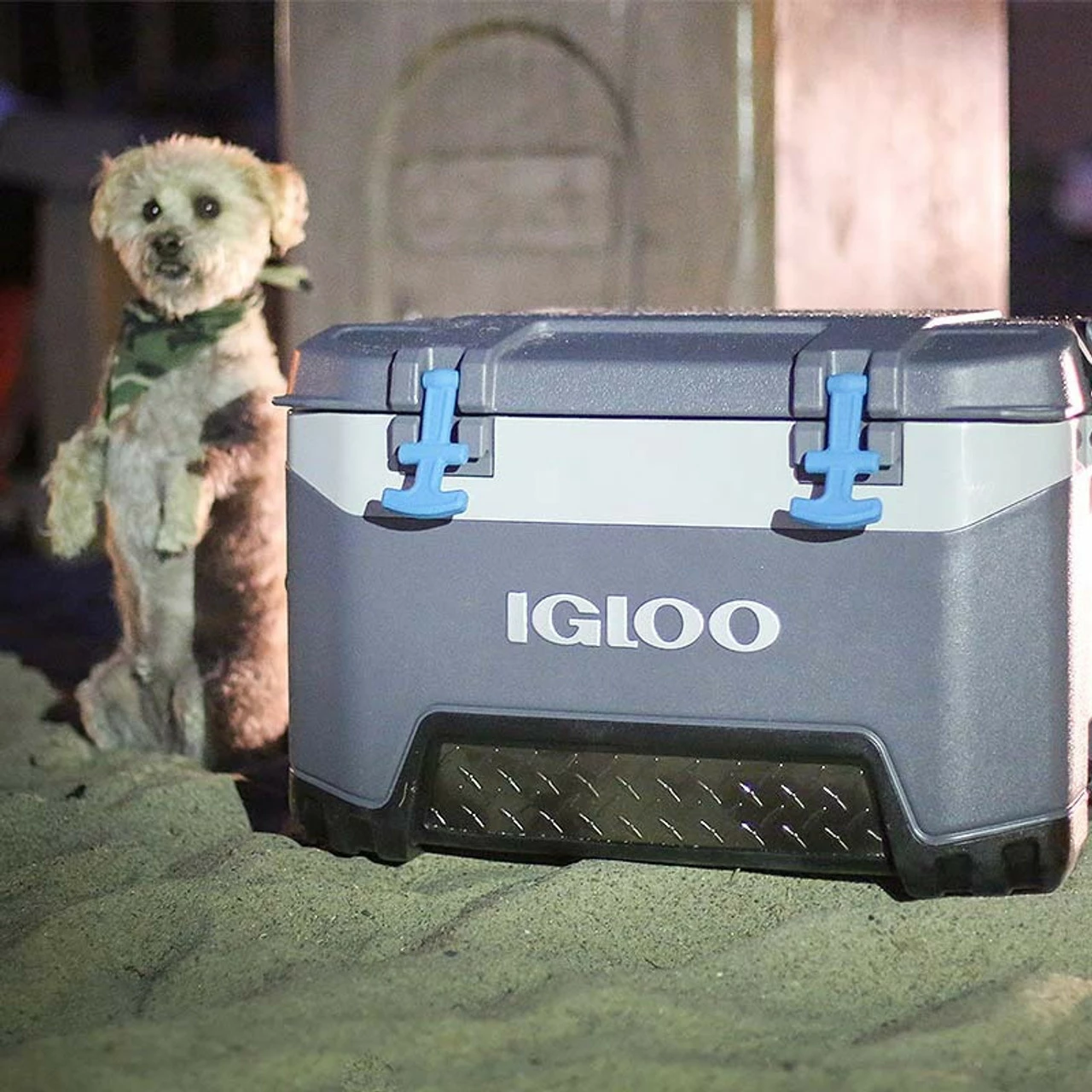 Igloo BMX 52 Heavy Duty Fishing Camping Cool Box - Image 11